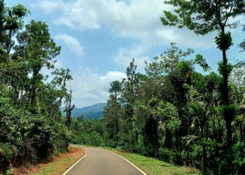 Bohemian Realtors | Coorg properties for sale