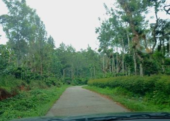 Bohemian Realtors | Coorg properties for sale