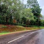 Bohemian Realtors | Coorg properties for sale