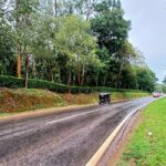 Bohemian Realtors | Coorg properties for sale