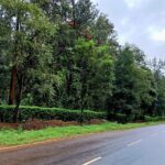 Bohemian Realtors | Coorg properties for sale