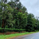 Bohemian Realtors | Coorg properties for sale