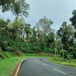 Bohemian Realtors | Coorg properties for sale