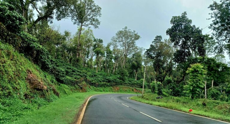 Coorg’s Development Boom: A Gateway to Lucrative Business Opportunities and High Return on Investment 💖