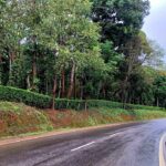 Bohemian Realtors | Coorg properties for sale